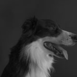 Cash_BW_Small_IMG_20191119_160444